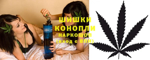 гашик Белоозёрский