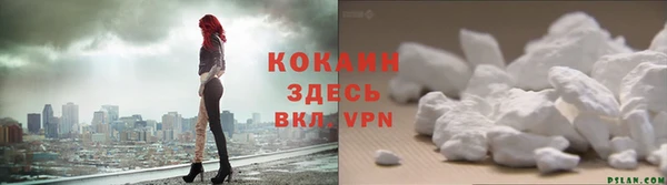 гашик Белоозёрский