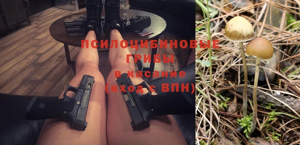 гашик Белоозёрский