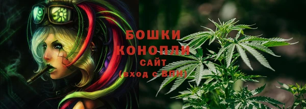 амфетамин Белокуриха