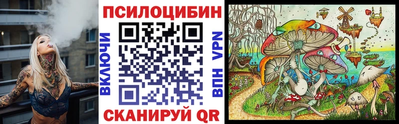 Галлюциногенные грибы Psilocybe Верея