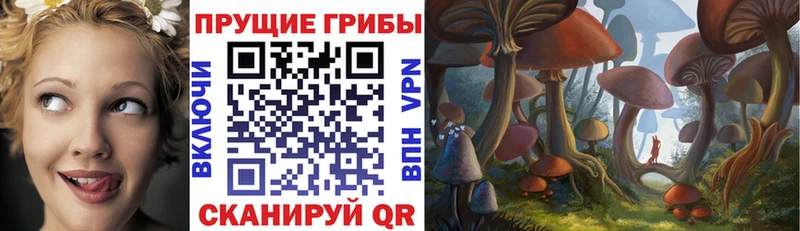 Псилоцибиновые грибы GOLDEN TEACHER  Верея 